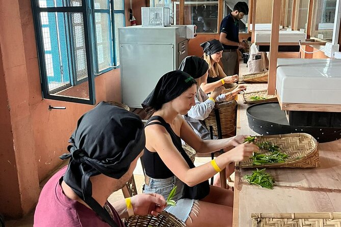 Private tea factory and tasting experience